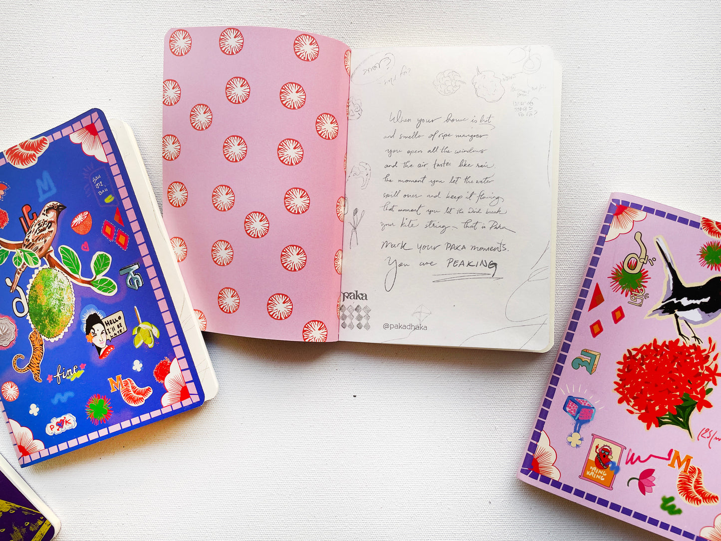 Moina Doyel Choroi Passport Size Notebook Set