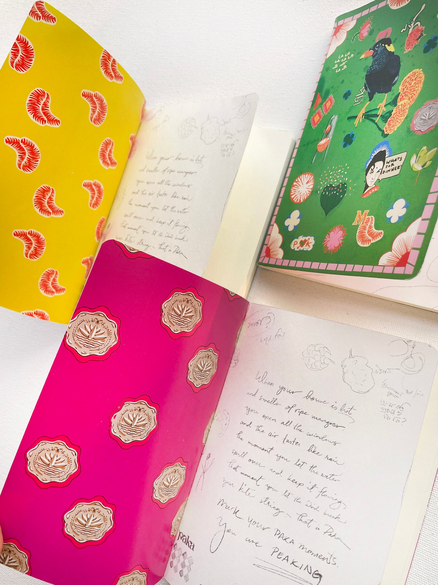 Moina Doyel Choroi Passport Size Notebook Set