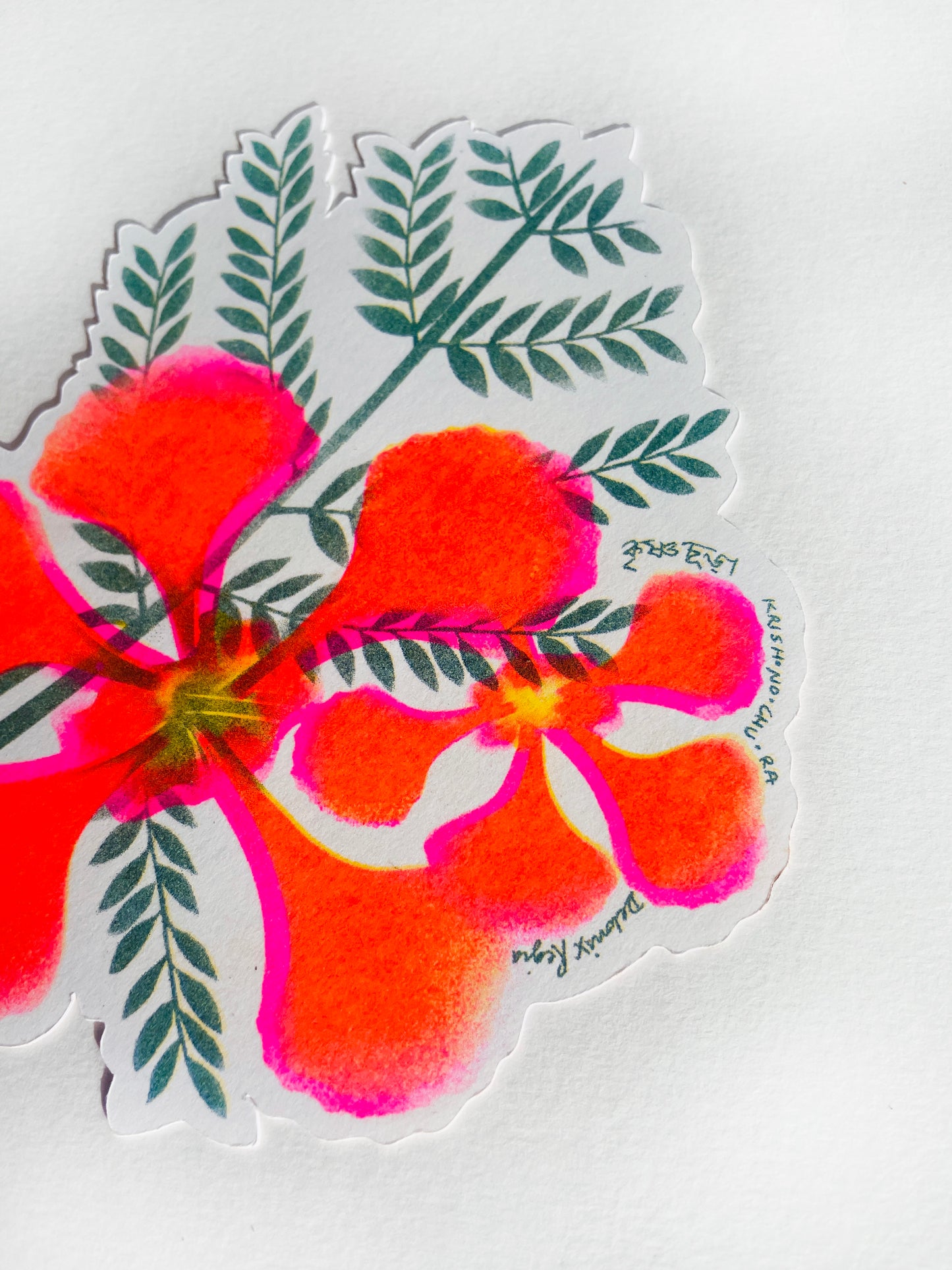 Banglar Bouquet Riso Flower Pack (LIMITED EDITION - each pack numbered)