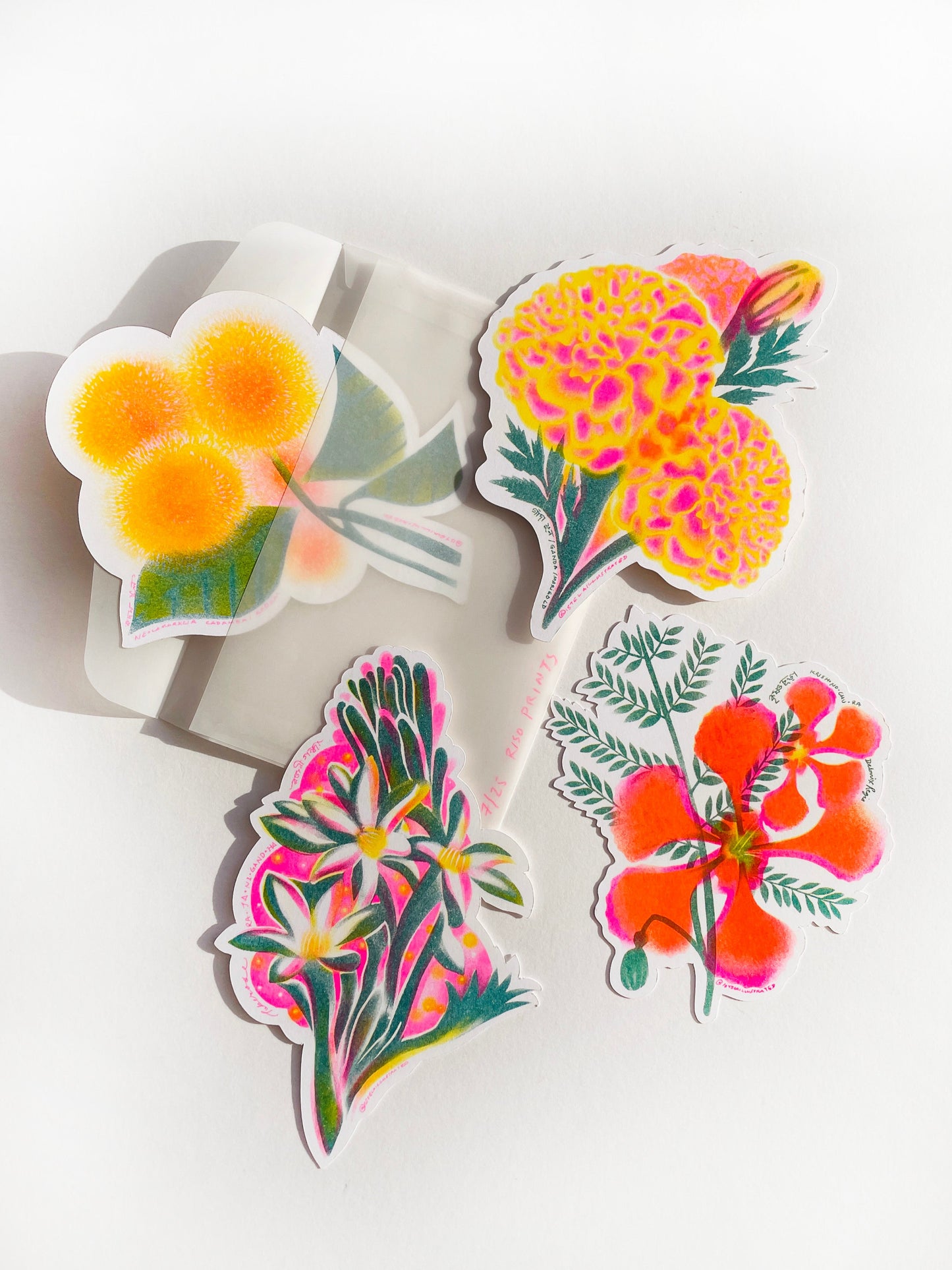 Banglar Bouquet Riso Flower Pack (LIMITED EDITION - each pack numbered)