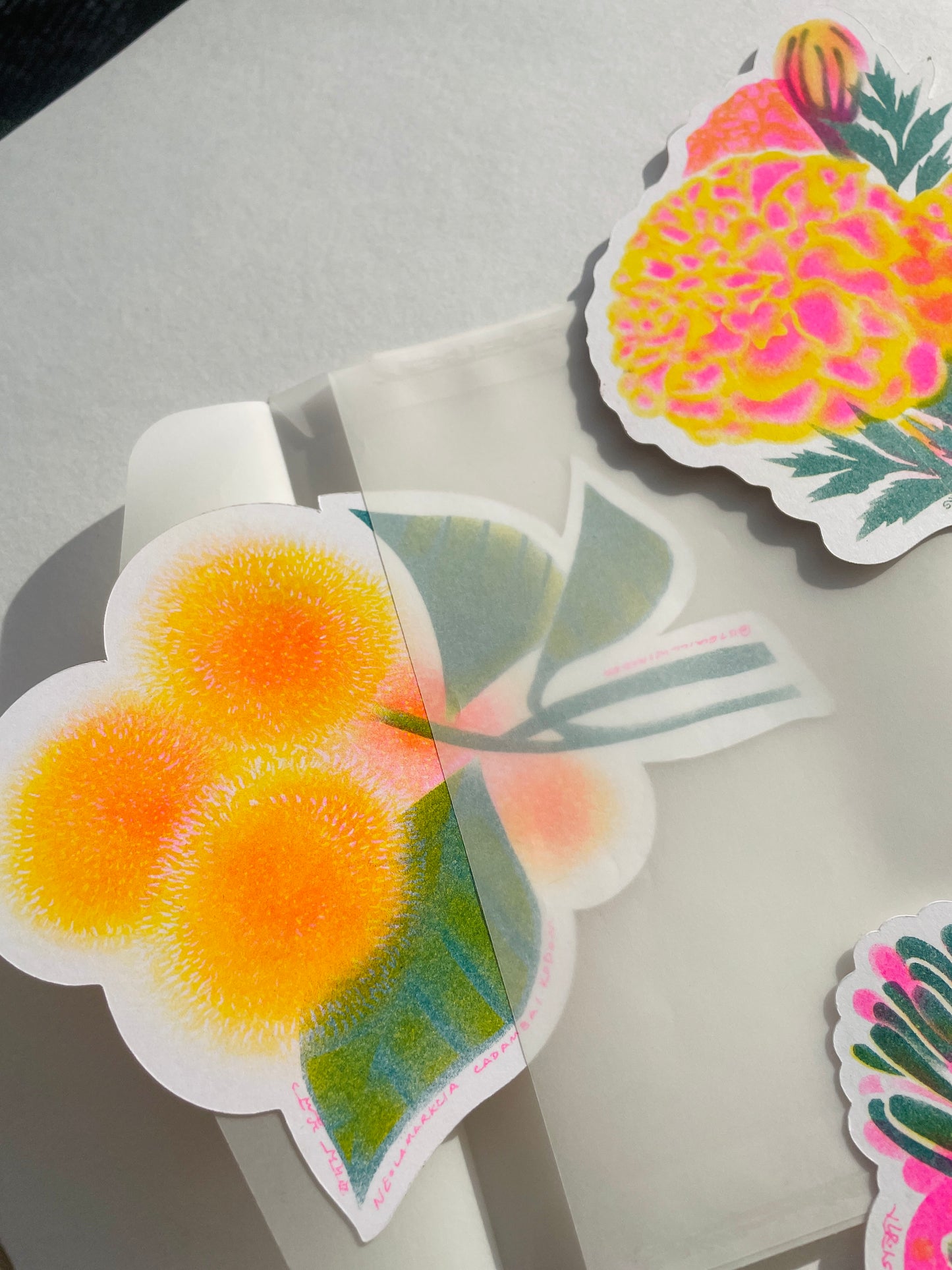 Banglar Bouquet Riso Flower Pack (LIMITED EDITION - each pack numbered)