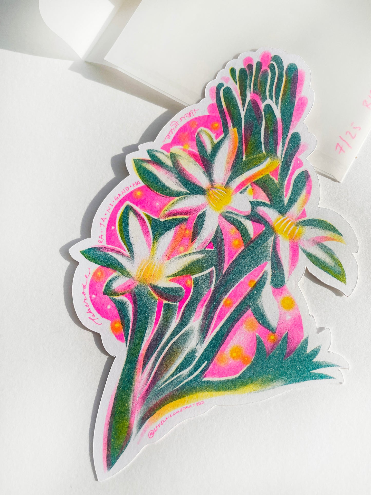Banglar Bouquet Riso Flower Pack (LIMITED EDITION - each pack numbered)
