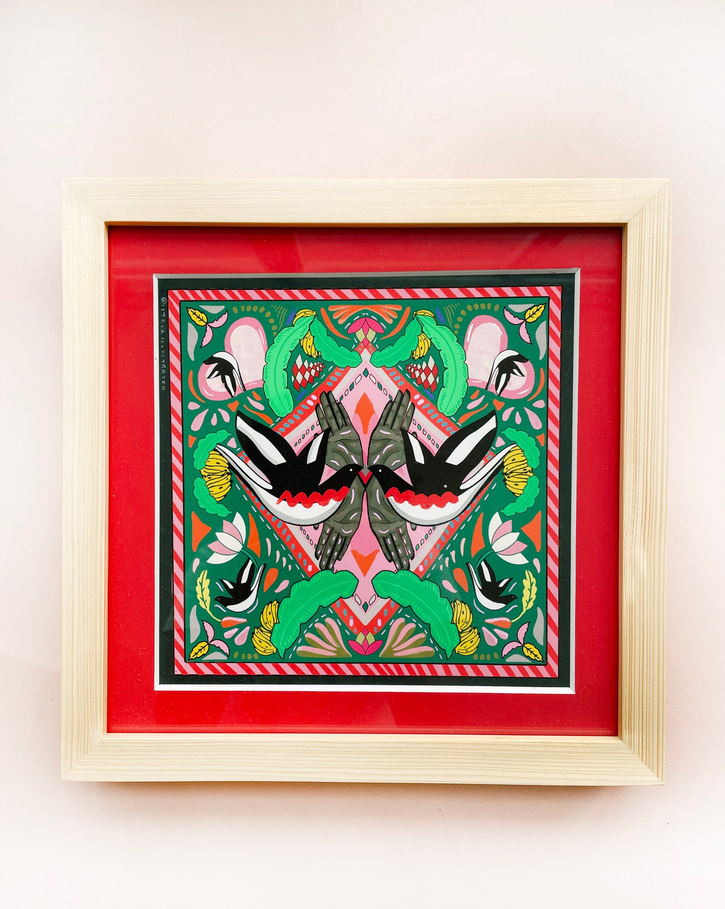 Fly Doyel (framed)