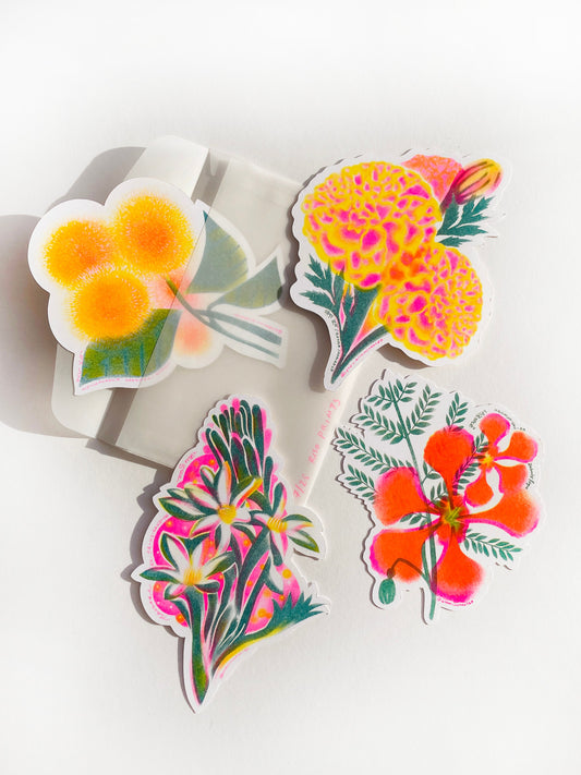 Banglar Bouquet Riso Flower Pack (LIMITED EDITION - each pack numbered)